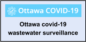 Ottawa covid-19 wastewater surveillance